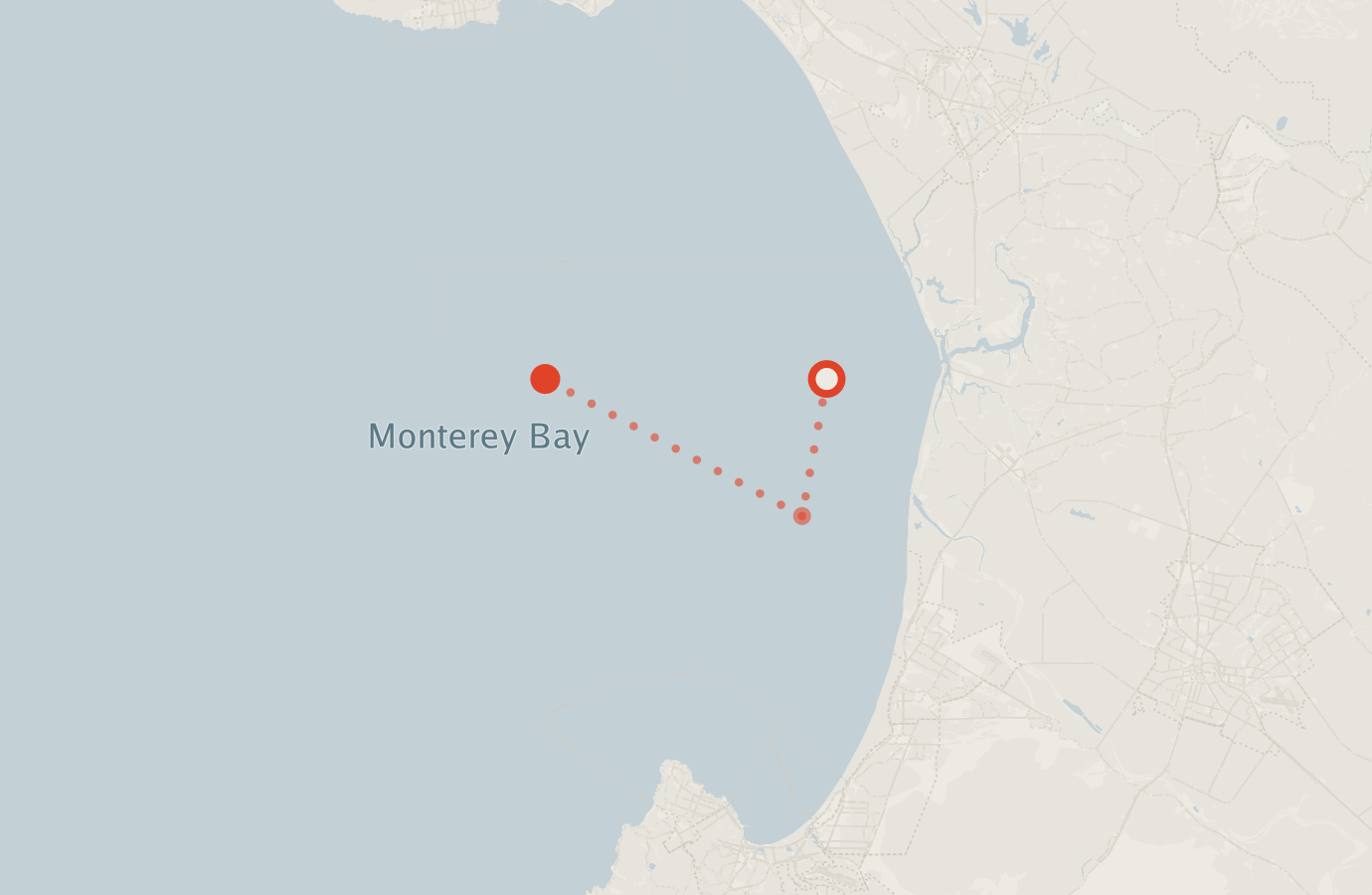 Activity map — real sighting points on an OpenStreetMap basemap