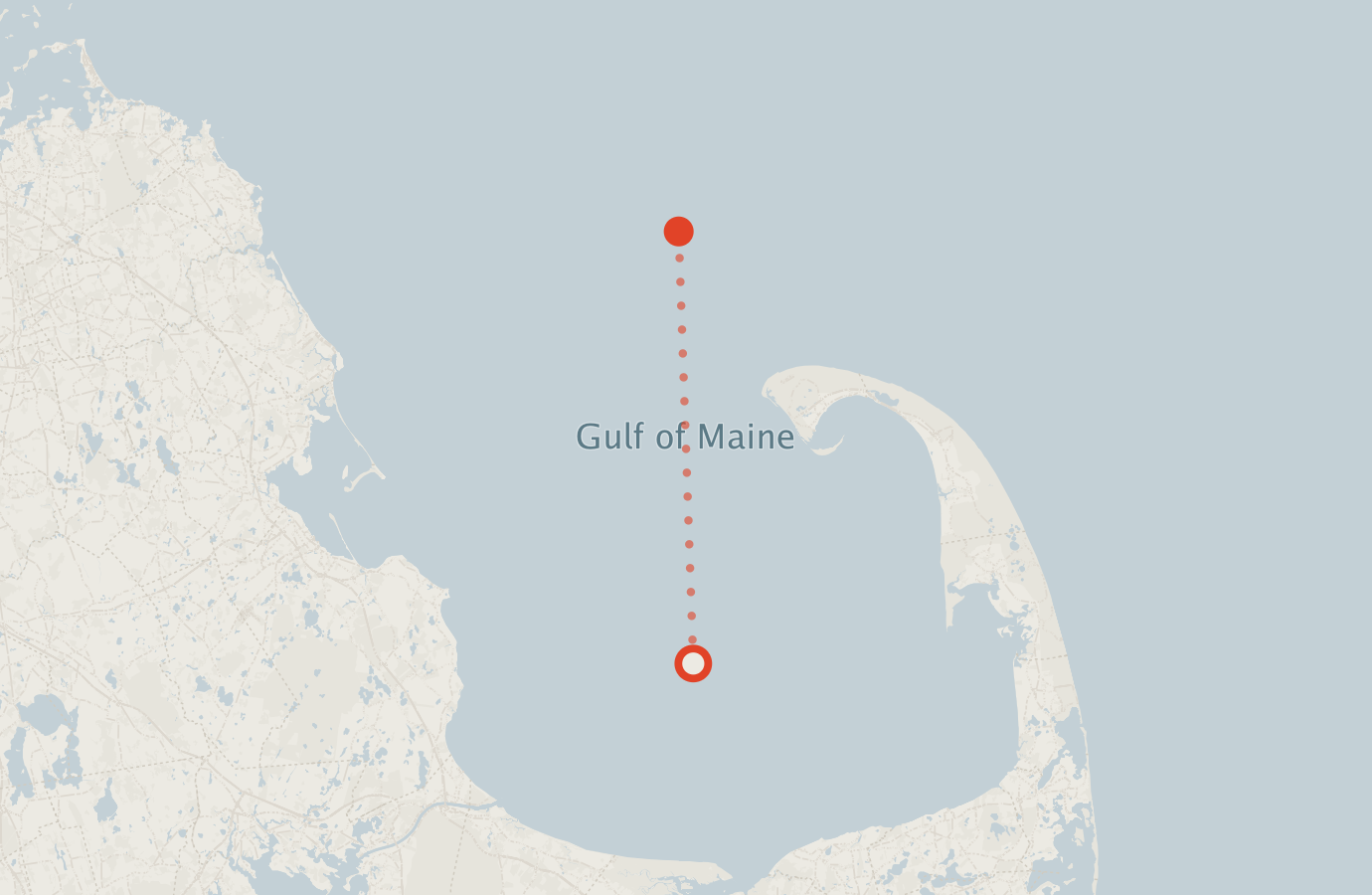 Activity map — real sighting points on an OpenStreetMap basemap