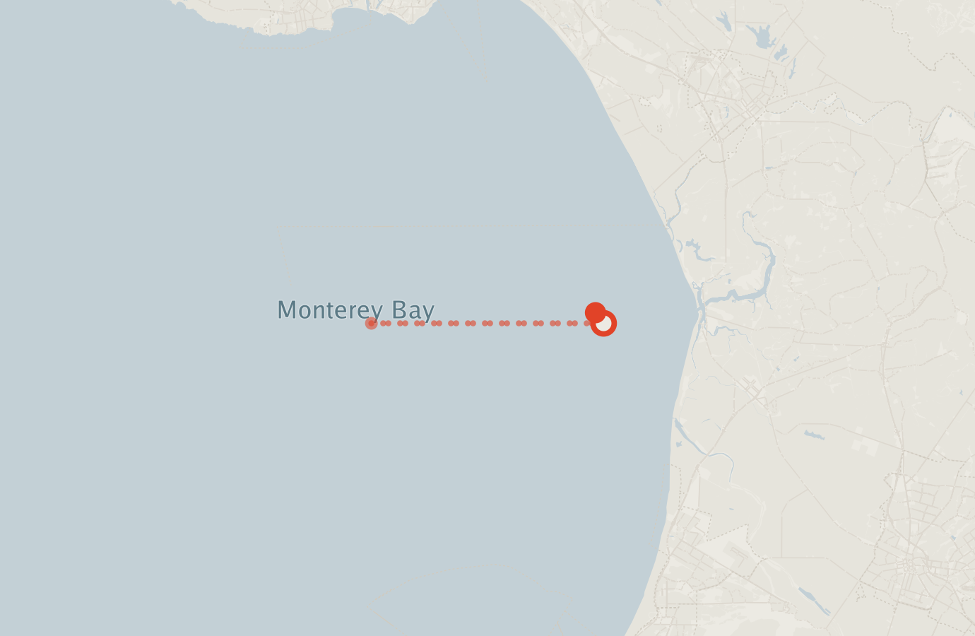 Activity map — real sighting points on an OpenStreetMap basemap