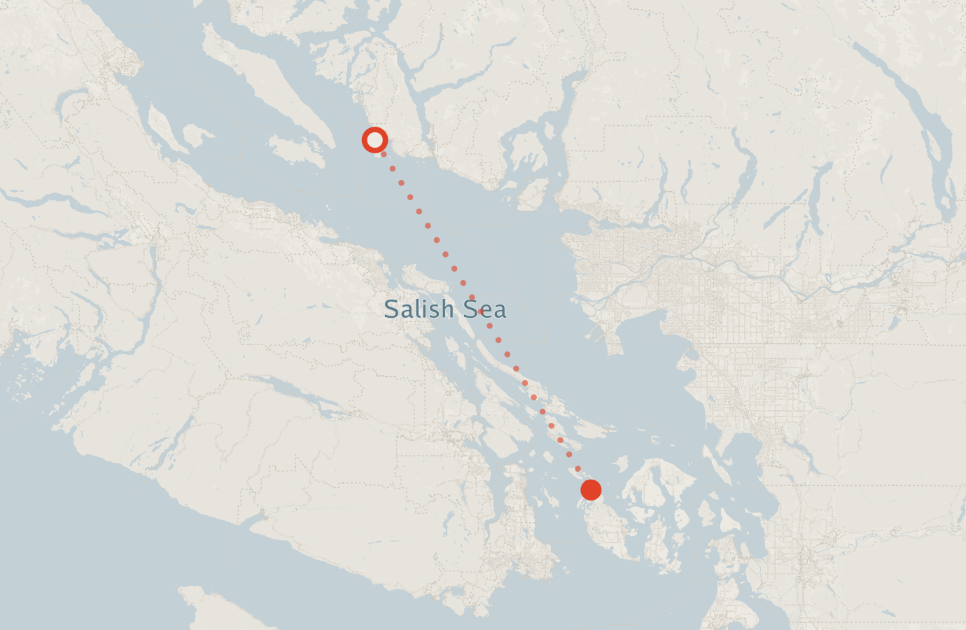 Activity map — real sighting points on an OpenStreetMap basemap