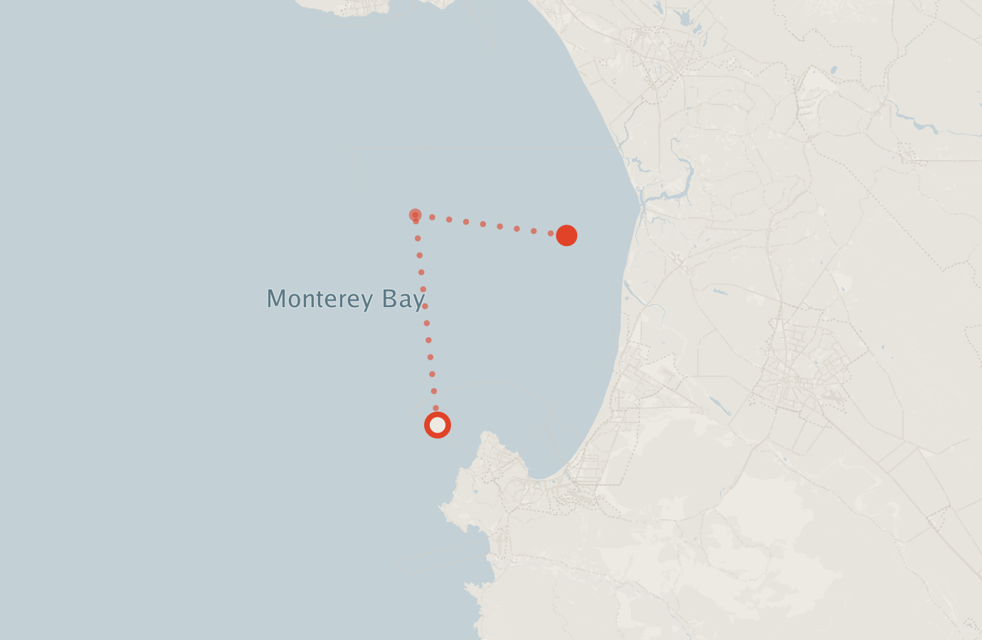 Activity map — real sighting points on an OpenStreetMap basemap