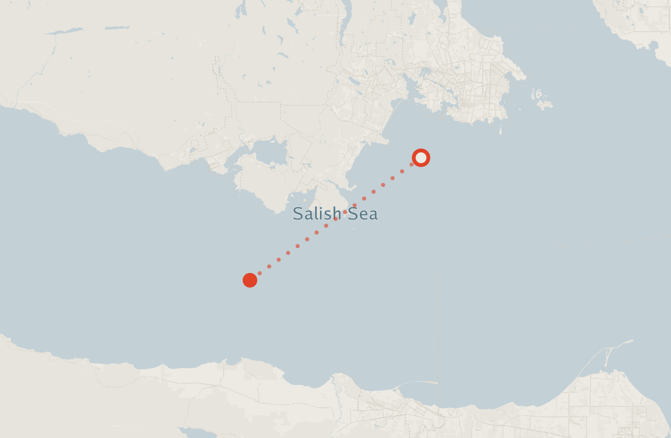 Activity map — real sighting points on an OpenStreetMap basemap