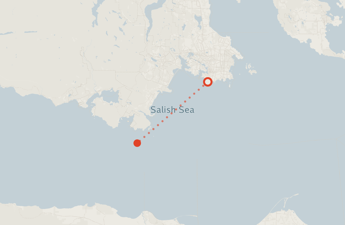 Activity map — real sighting points on an OpenStreetMap basemap
