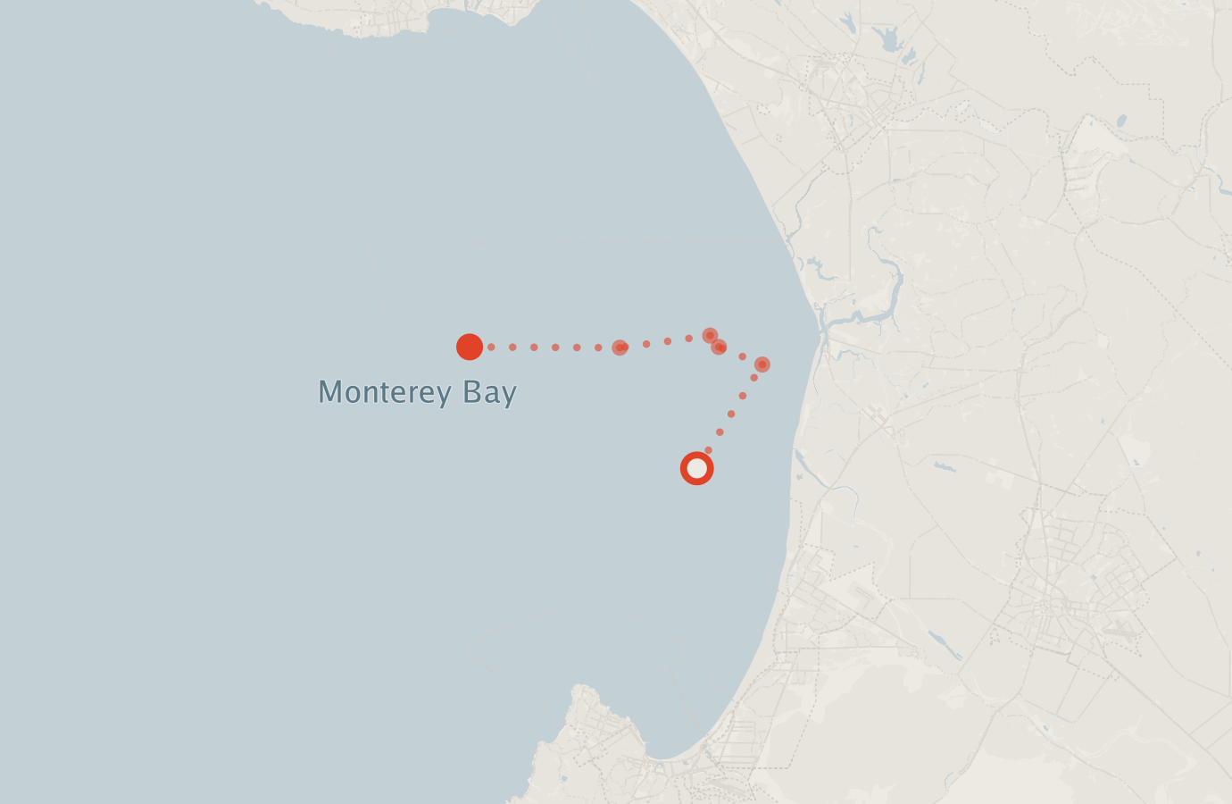 Activity map — real sighting points on an OpenStreetMap basemap