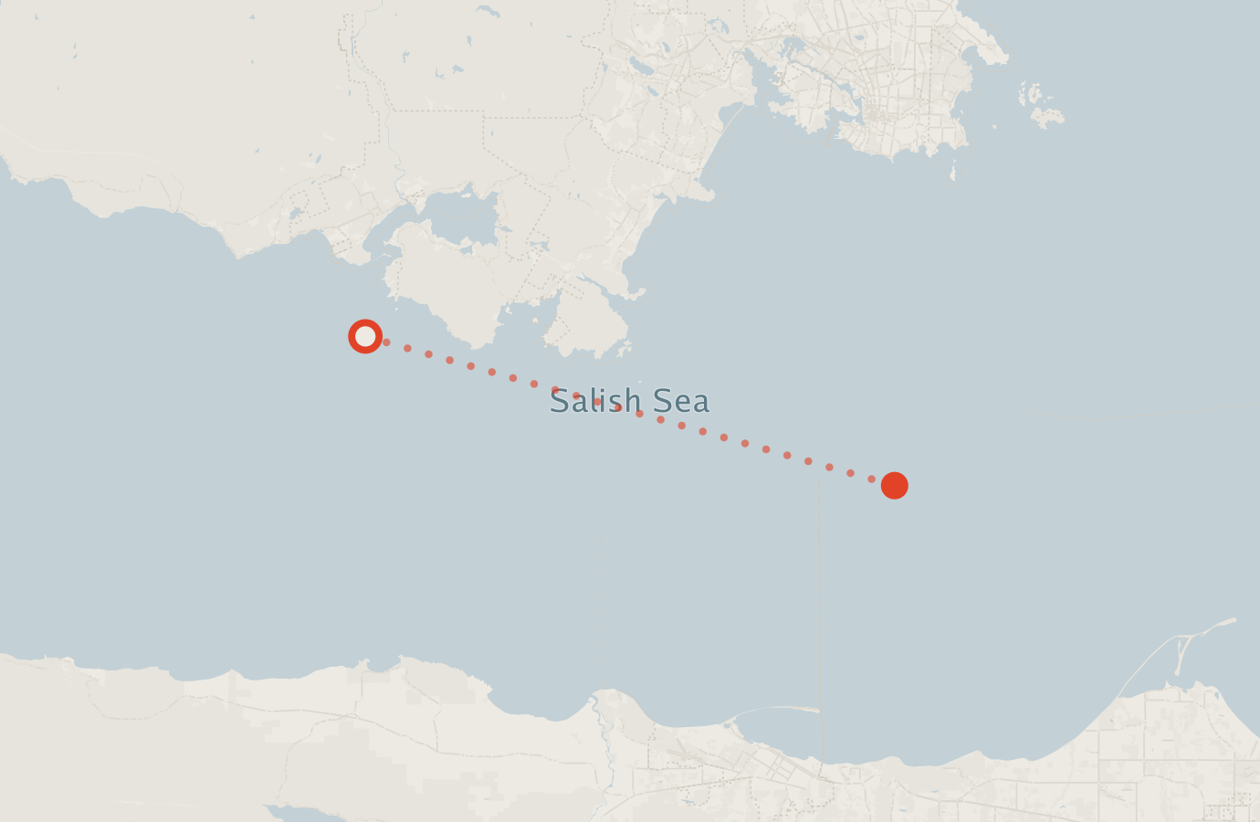 Activity map — real sighting points on an OpenStreetMap basemap