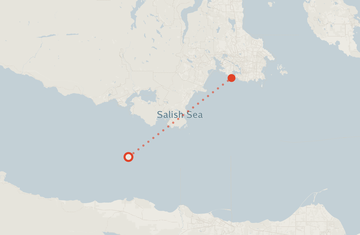 Activity map — real sighting points on an OpenStreetMap basemap