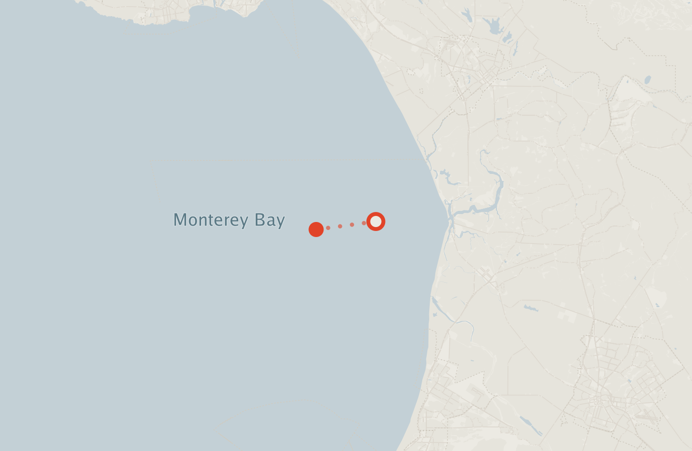 Activity map — real sighting points on an OpenStreetMap basemap