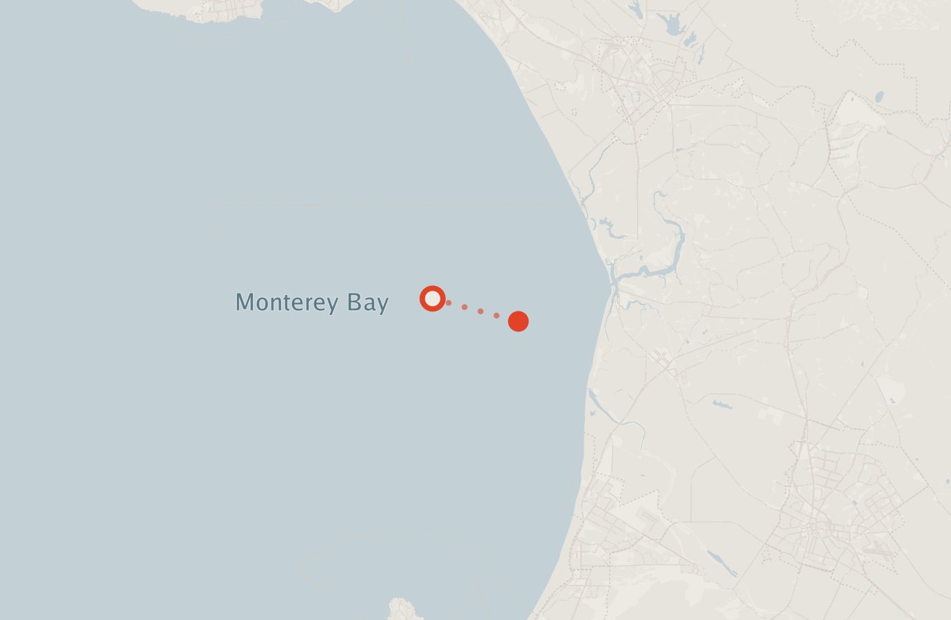 Activity map — real sighting points on an OpenStreetMap basemap