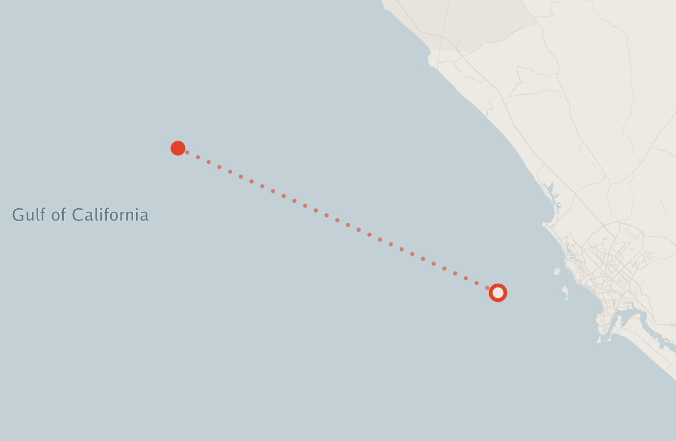 Activity map — real sighting points on an OpenStreetMap basemap