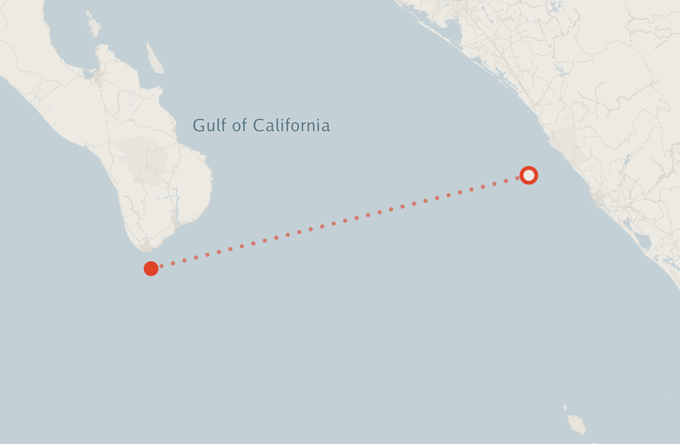 Activity map — real sighting points on an OpenStreetMap basemap