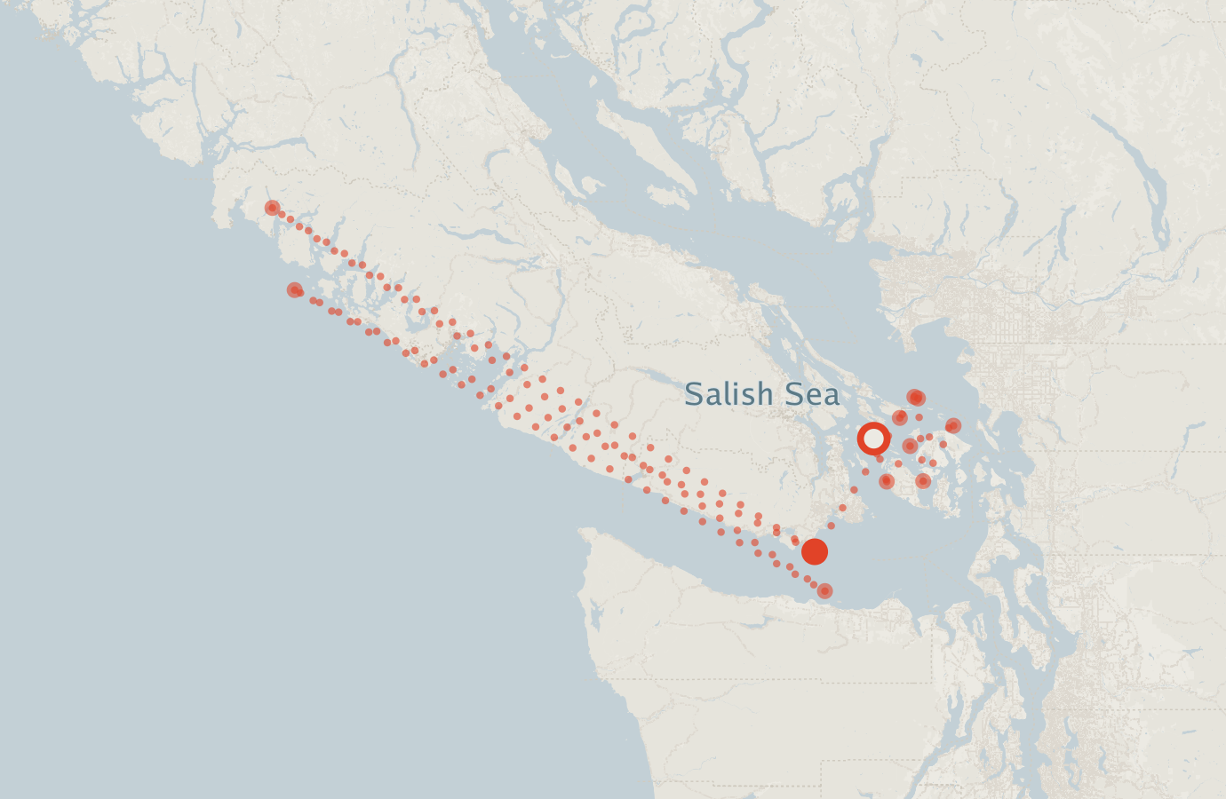Activity map — real sighting points on an OpenStreetMap basemap