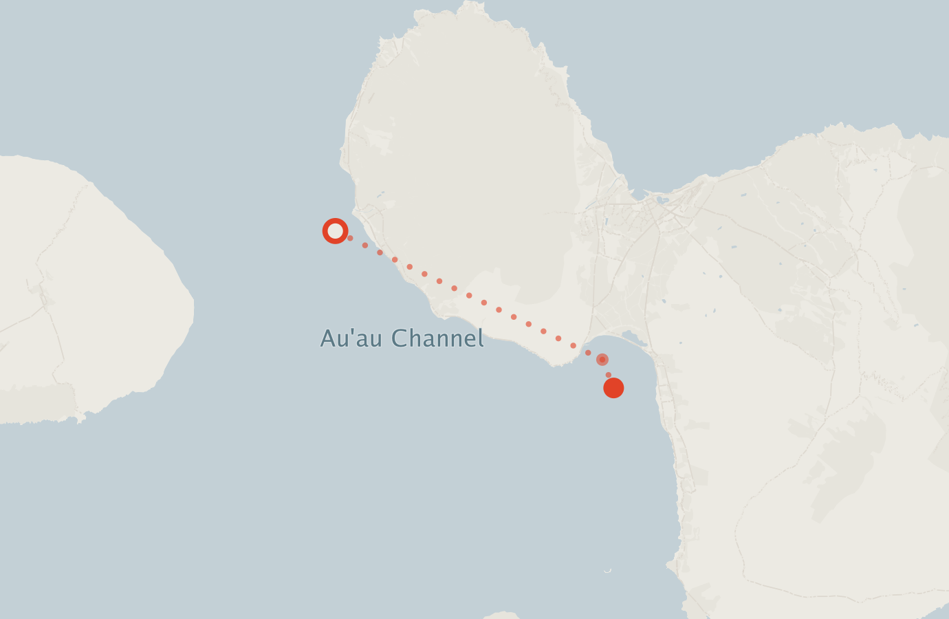 Activity map — real sighting points on an OpenStreetMap basemap