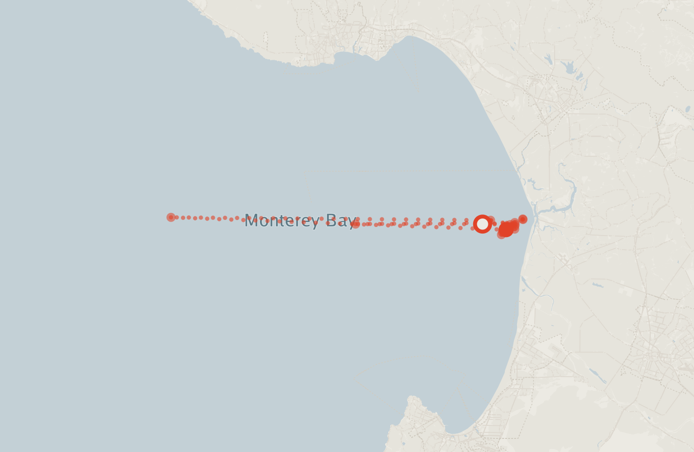 Activity map — real sighting points on an OpenStreetMap basemap