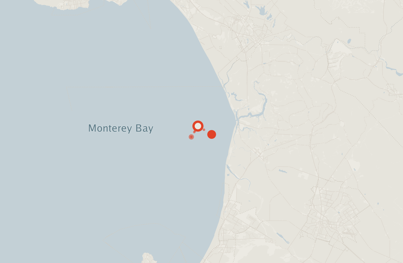 Activity map — real sighting points on an OpenStreetMap basemap
