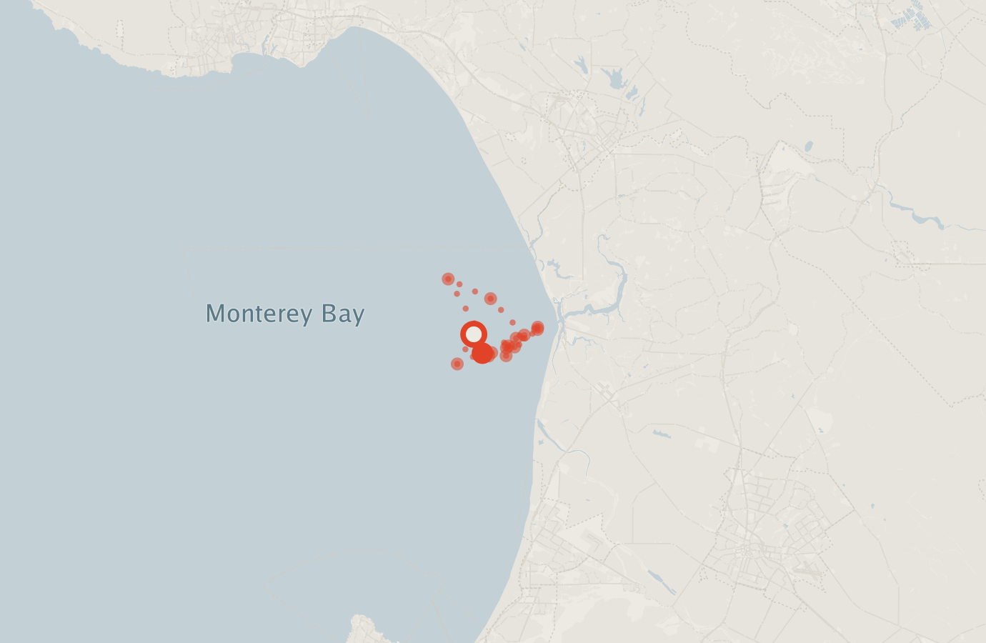 Activity map — real sighting points on an OpenStreetMap basemap