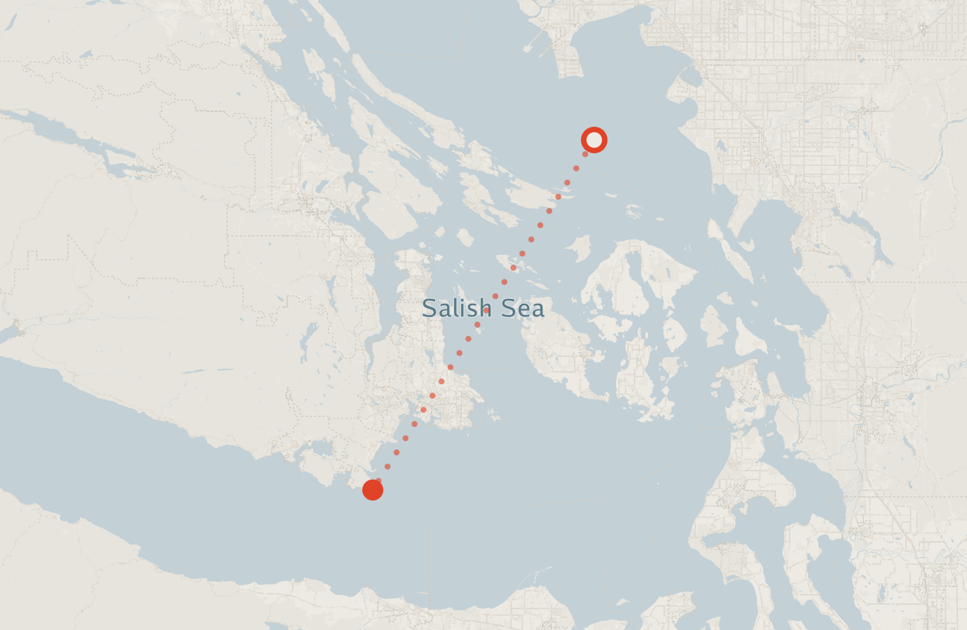 Activity map — real sighting points on an OpenStreetMap basemap