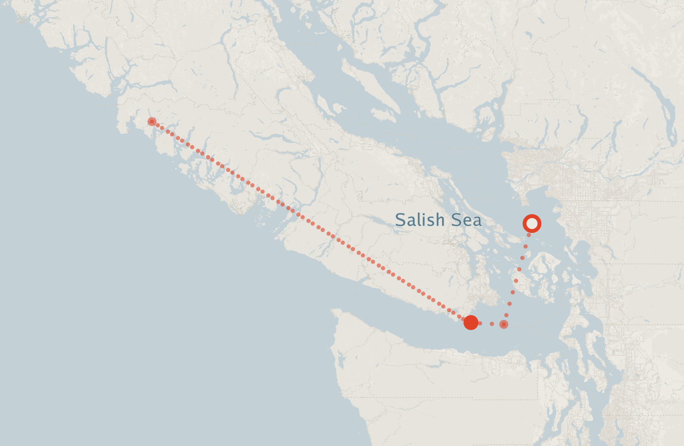Activity map — real sighting points on an OpenStreetMap basemap