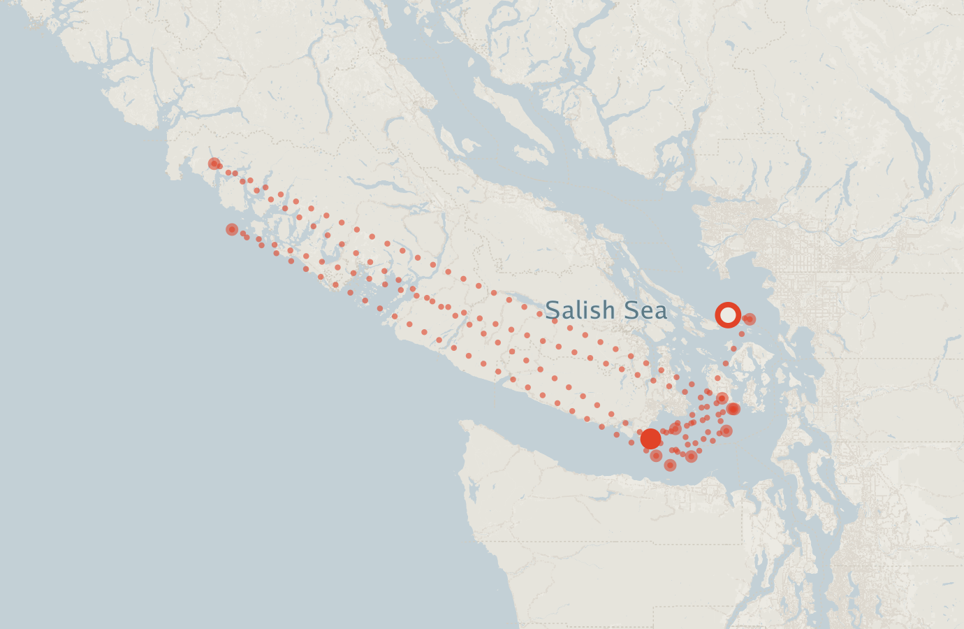 Activity map — real sighting points on an OpenStreetMap basemap