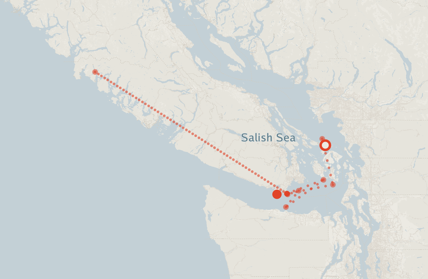 Activity map — real sighting points on an OpenStreetMap basemap