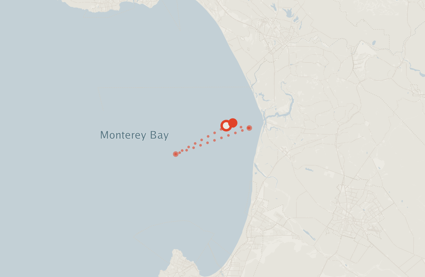 Activity map — real sighting points on an OpenStreetMap basemap