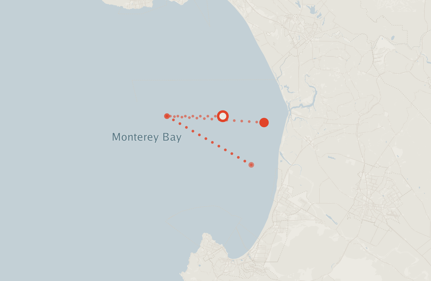 Activity map — real sighting points on an OpenStreetMap basemap