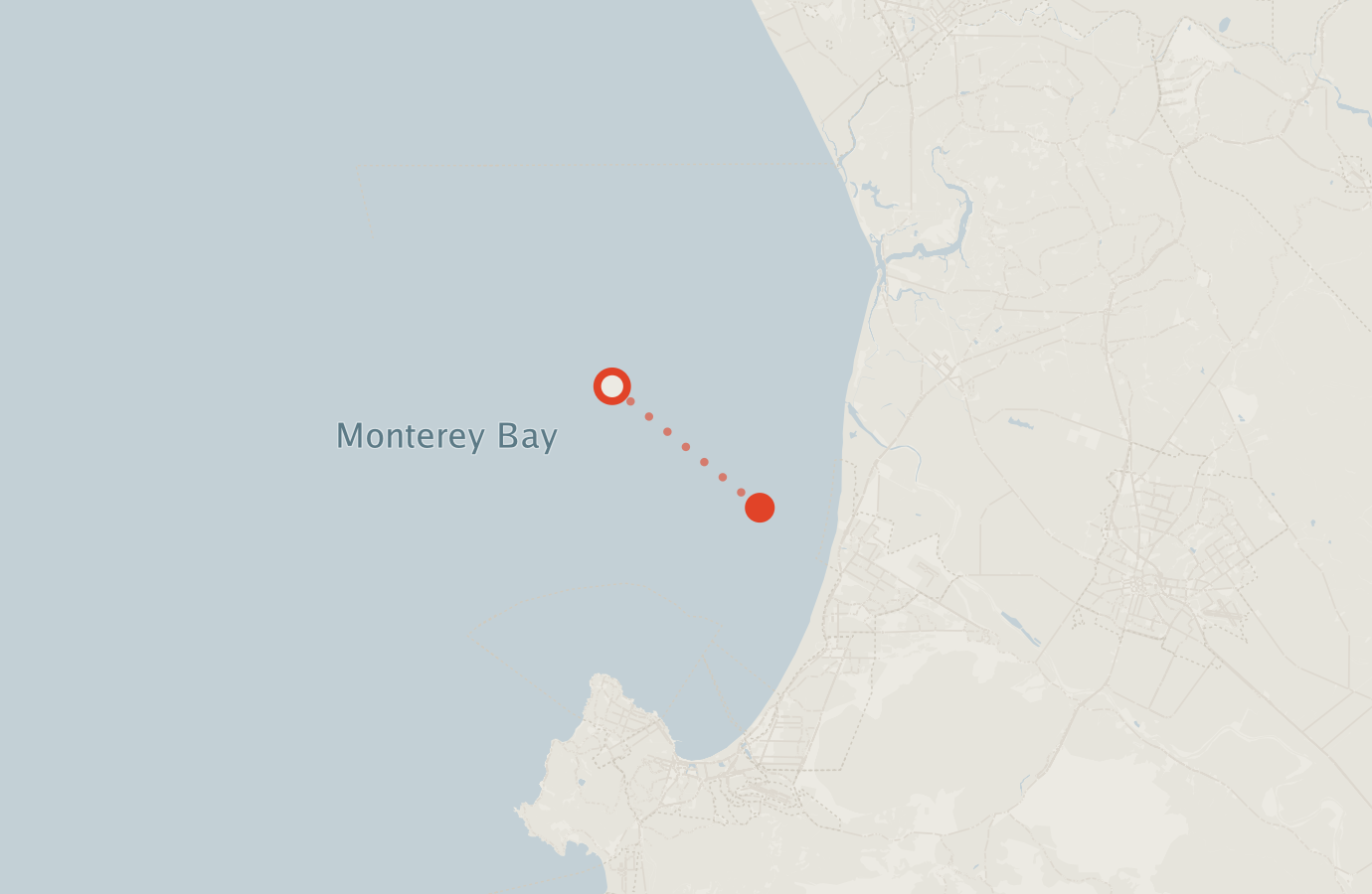 Activity map — real sighting points on an OpenStreetMap basemap