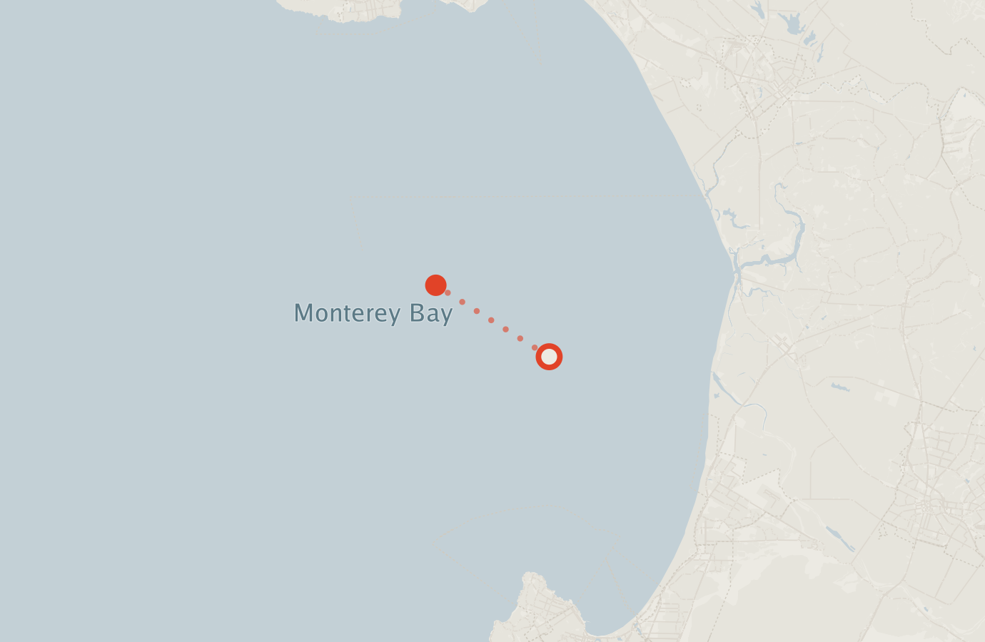 Activity map — real sighting points on an OpenStreetMap basemap