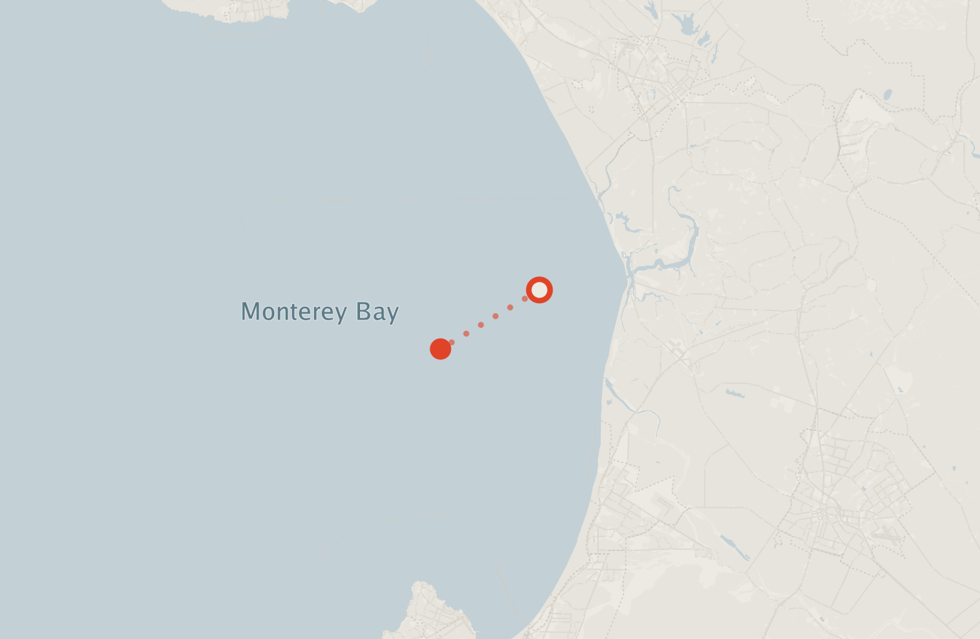 Activity map — real sighting points on an OpenStreetMap basemap