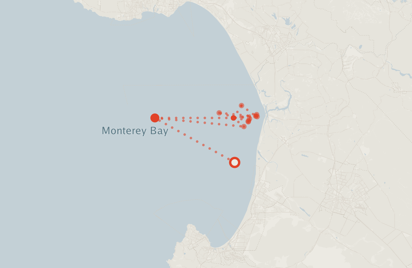 Activity map — real sighting points on an OpenStreetMap basemap