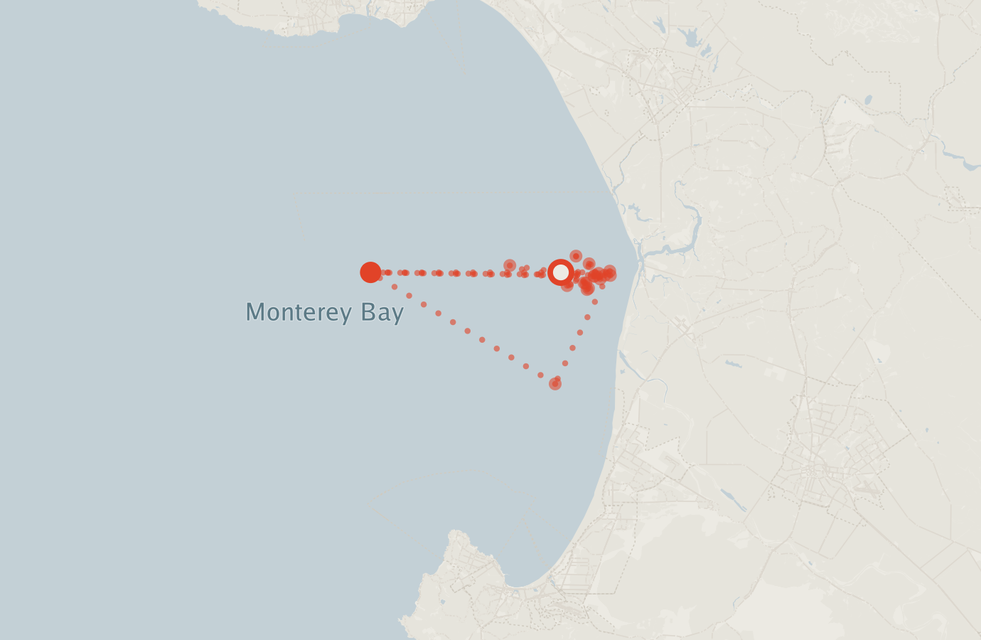 Activity map — real sighting points on an OpenStreetMap basemap