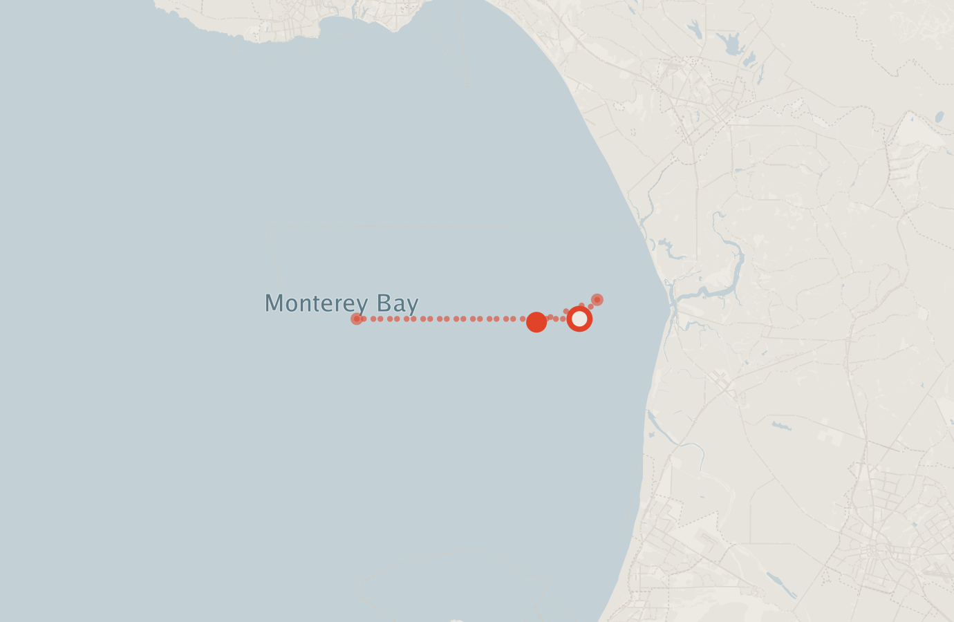 Activity map — real sighting points on an OpenStreetMap basemap