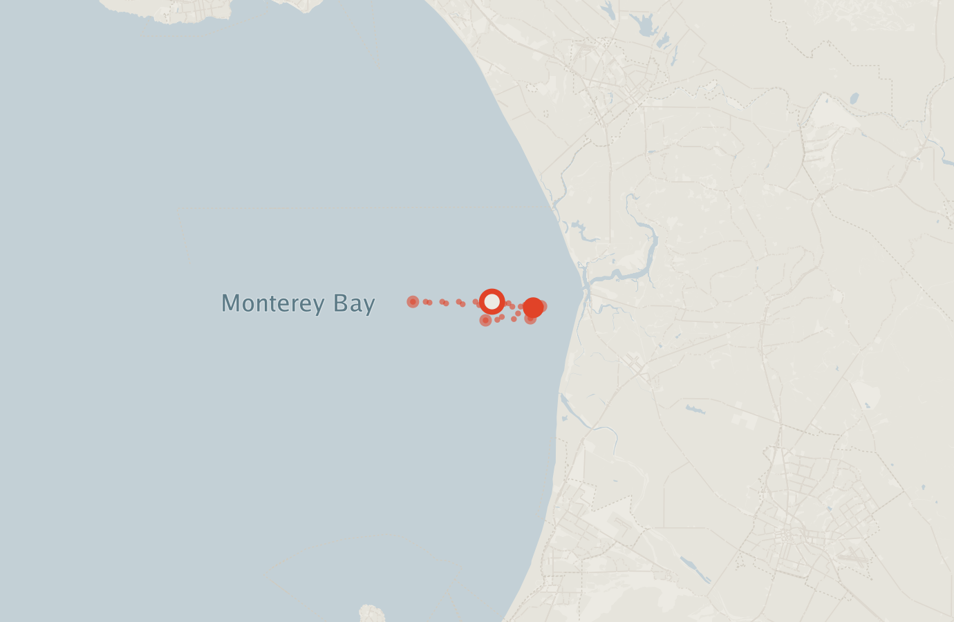 Activity map — real sighting points on an OpenStreetMap basemap