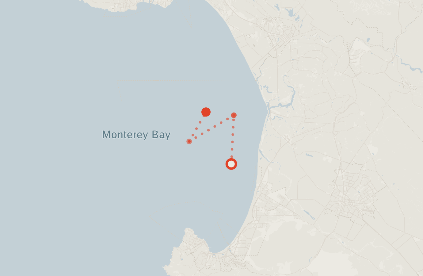 Activity map — real sighting points on an OpenStreetMap basemap