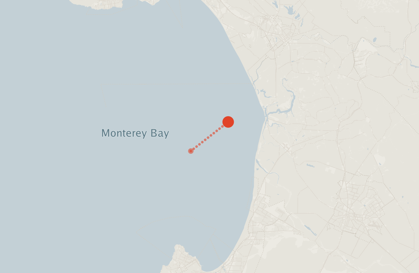Activity map — real sighting points on an OpenStreetMap basemap