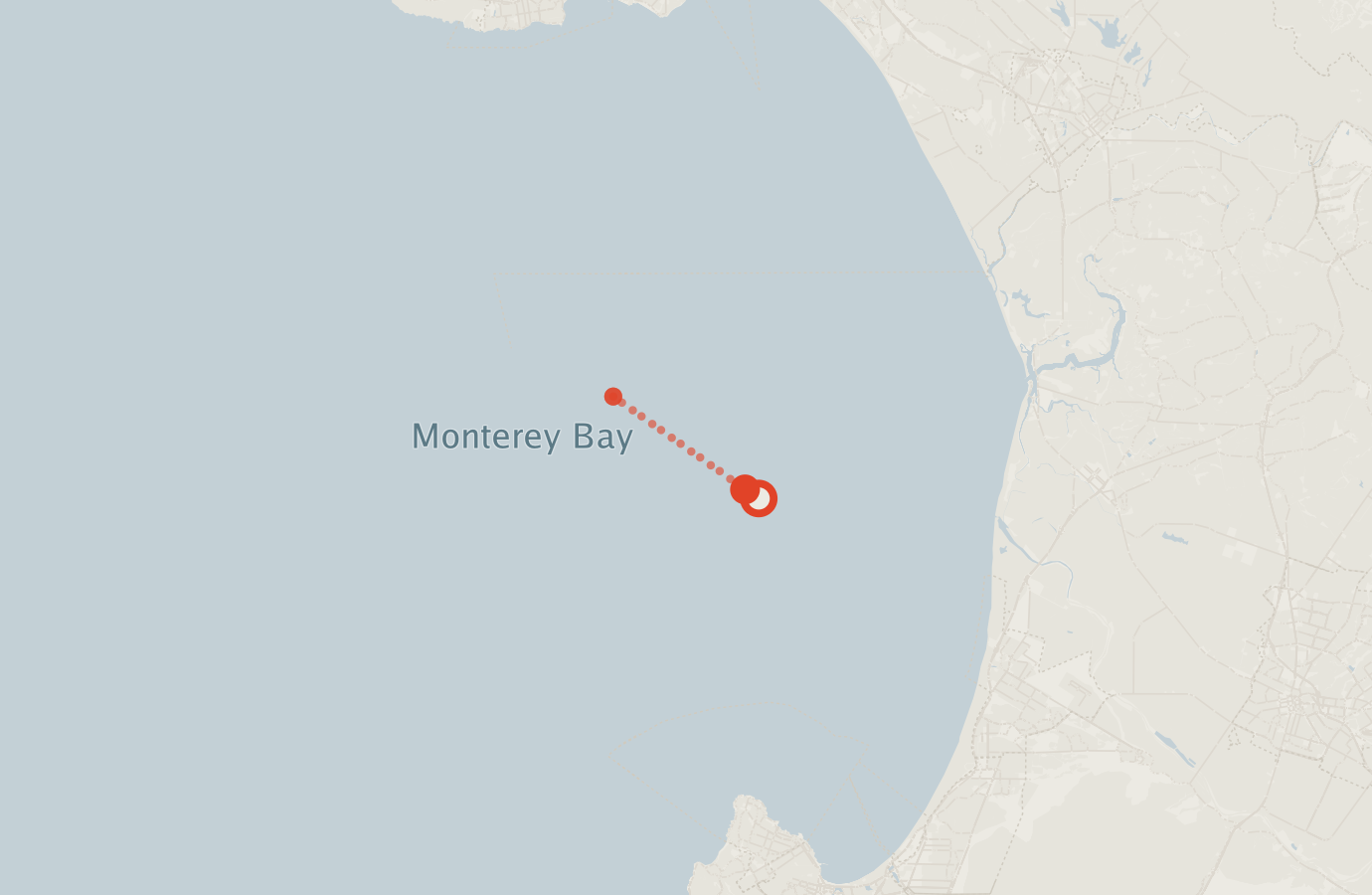 Activity map — real sighting points on an OpenStreetMap basemap