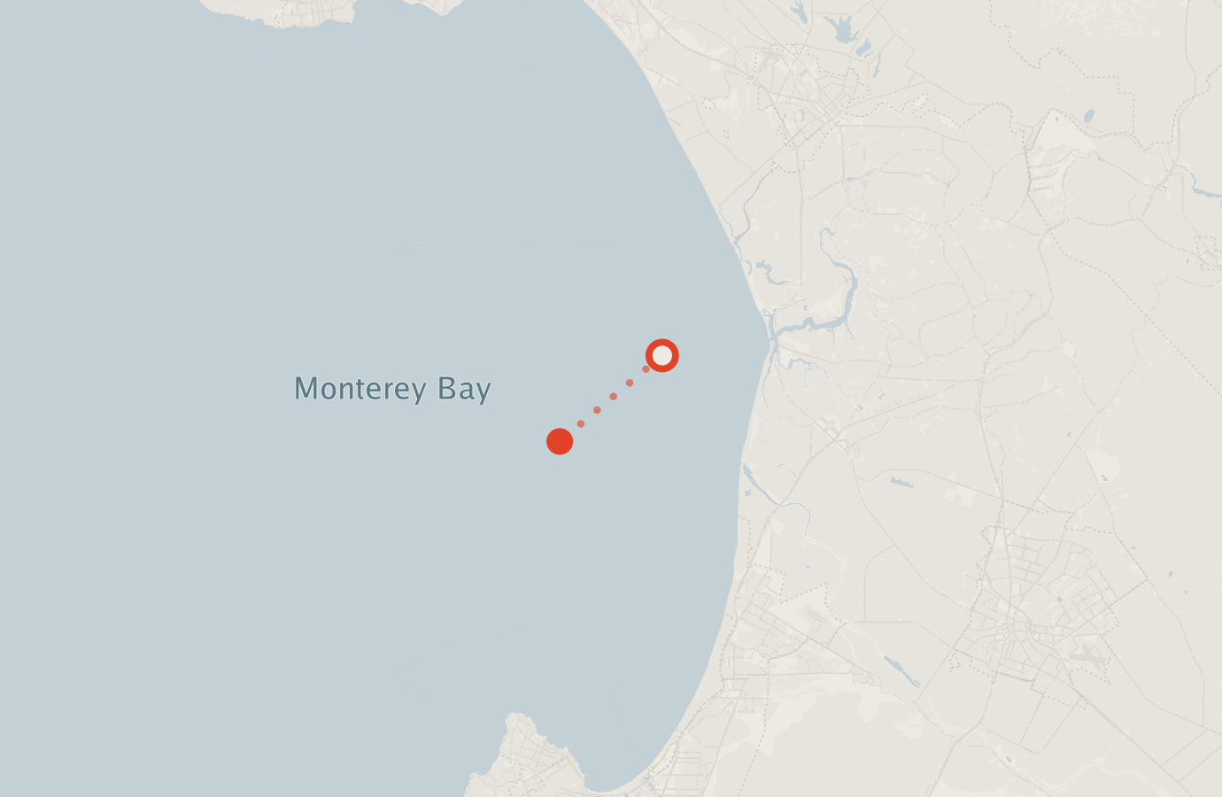 Activity map — real sighting points on an OpenStreetMap basemap