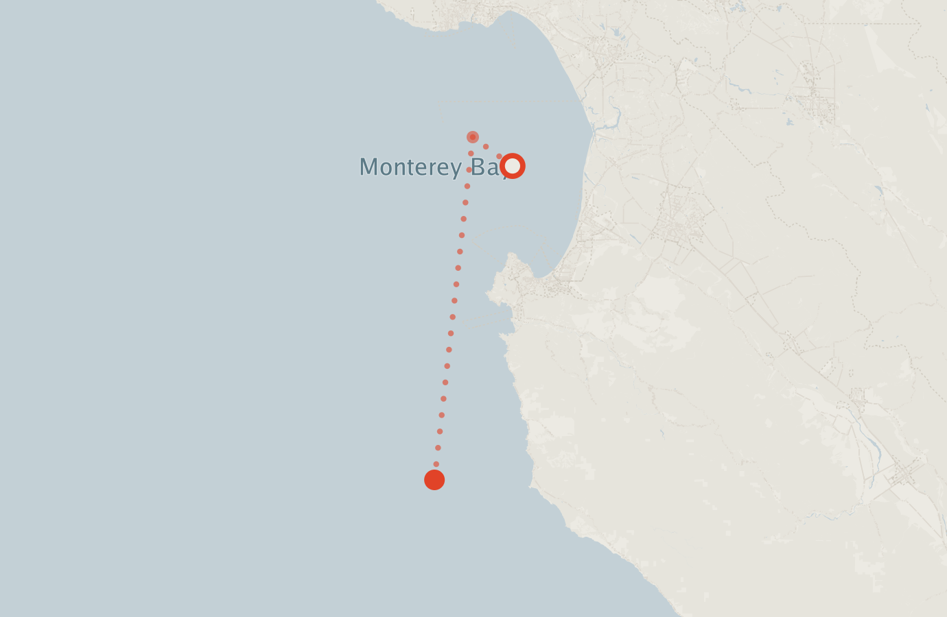Activity map — real sighting points on an OpenStreetMap basemap