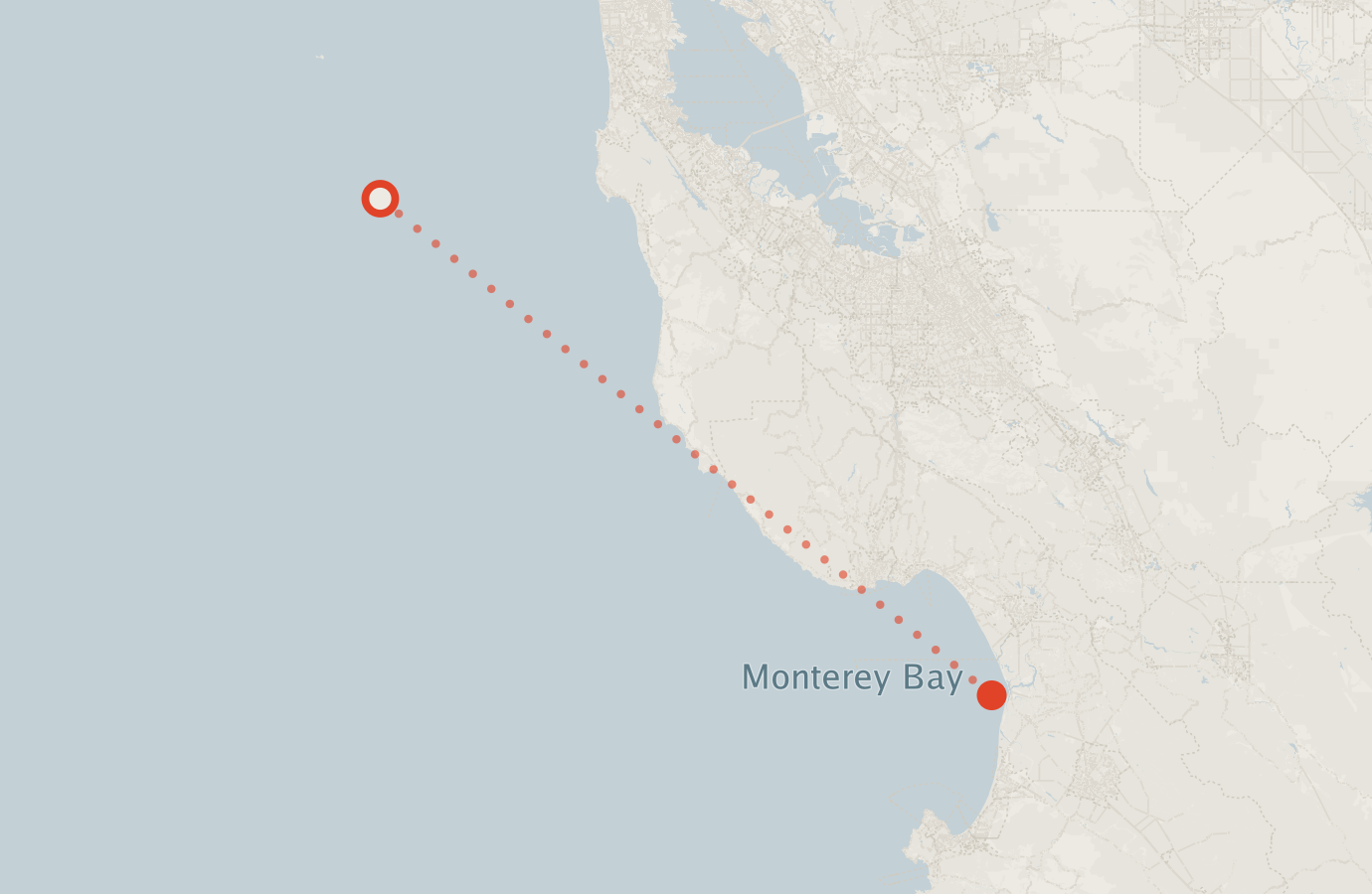 Activity map — real sighting points on an OpenStreetMap basemap