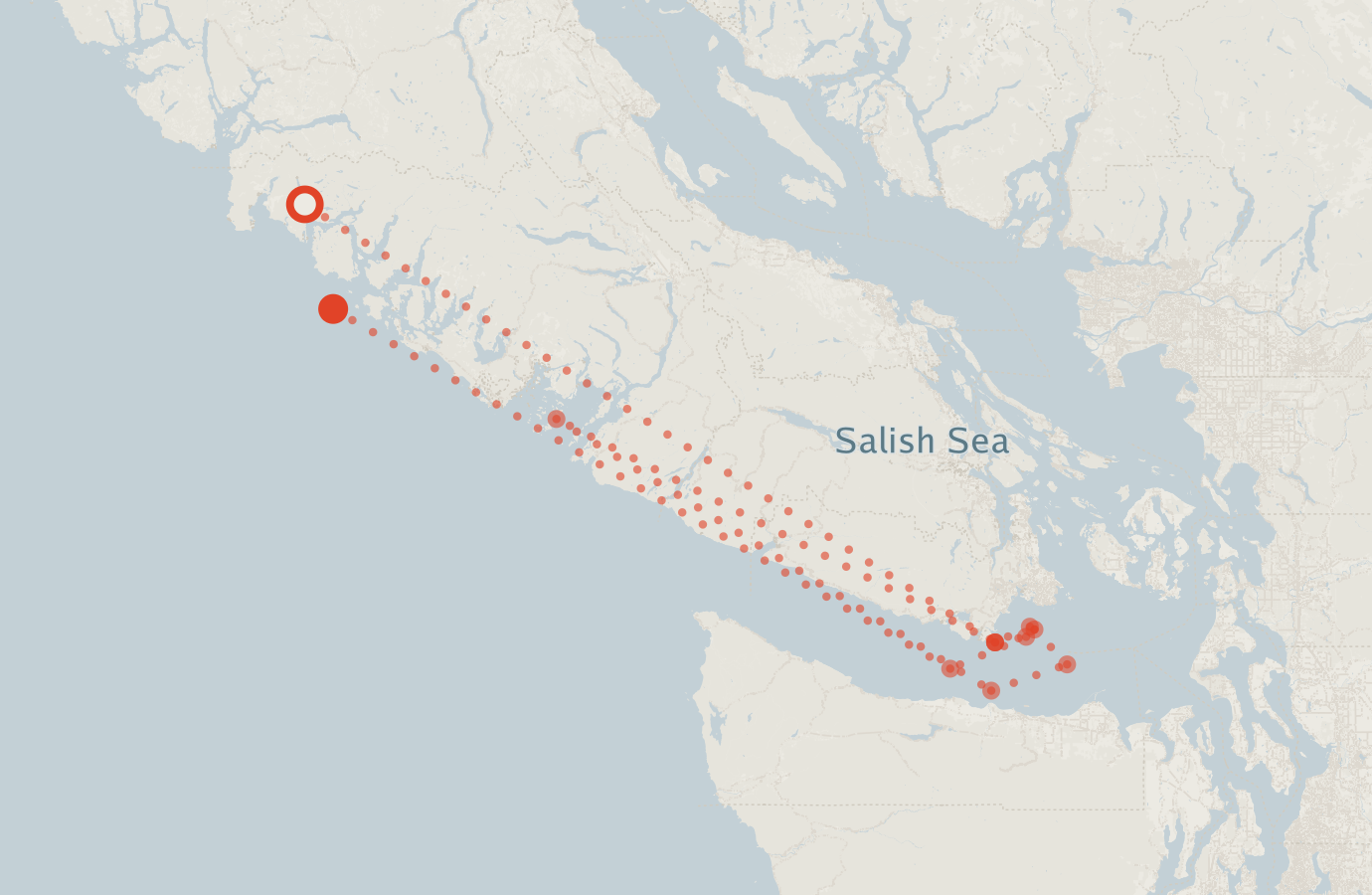Activity map — real sighting points on an OpenStreetMap basemap