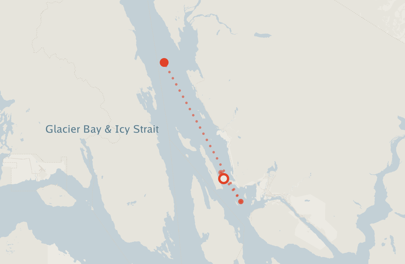 Activity map — real sighting points on an OpenStreetMap basemap