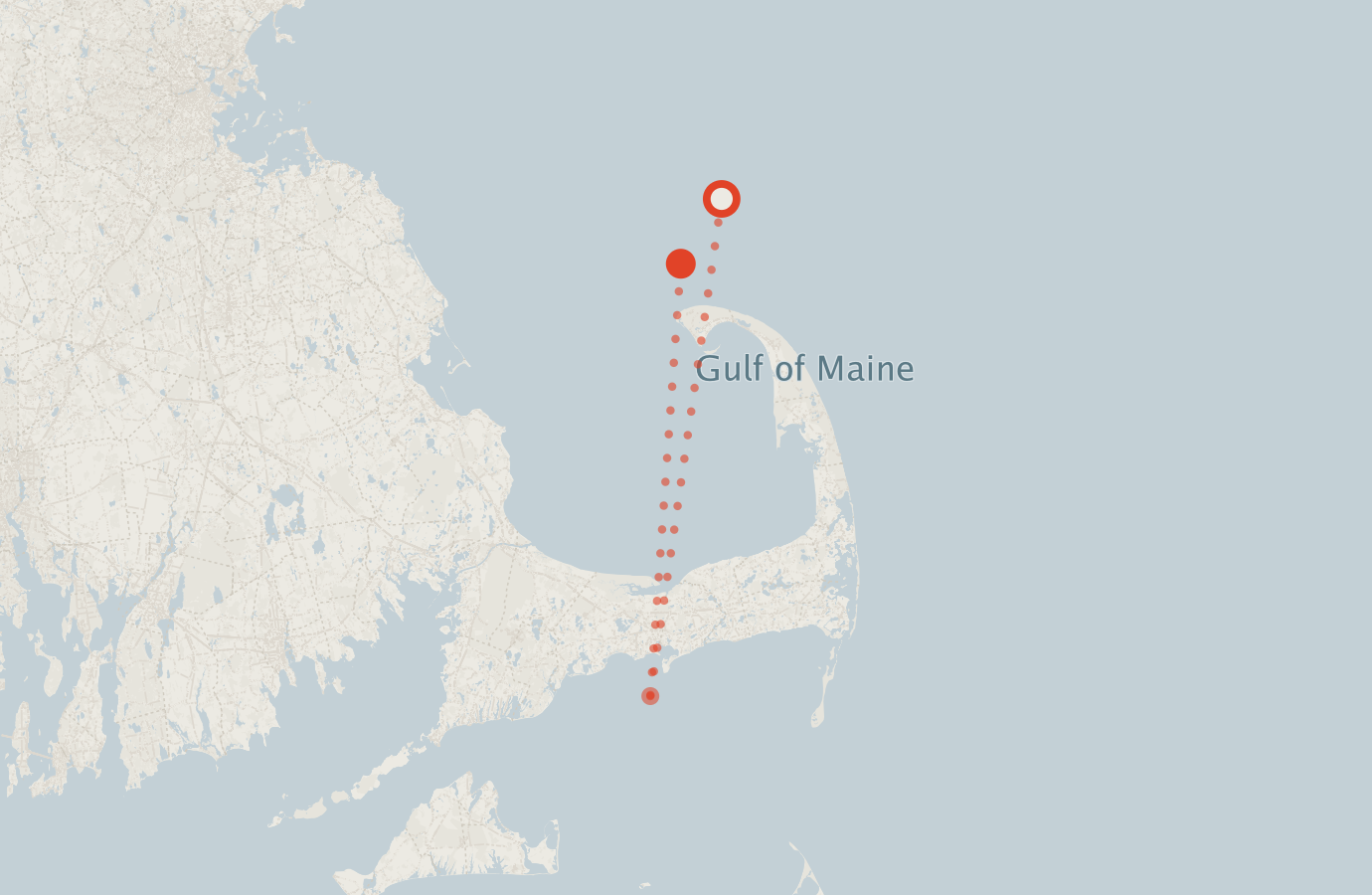 Activity map — real sighting points on an OpenStreetMap basemap