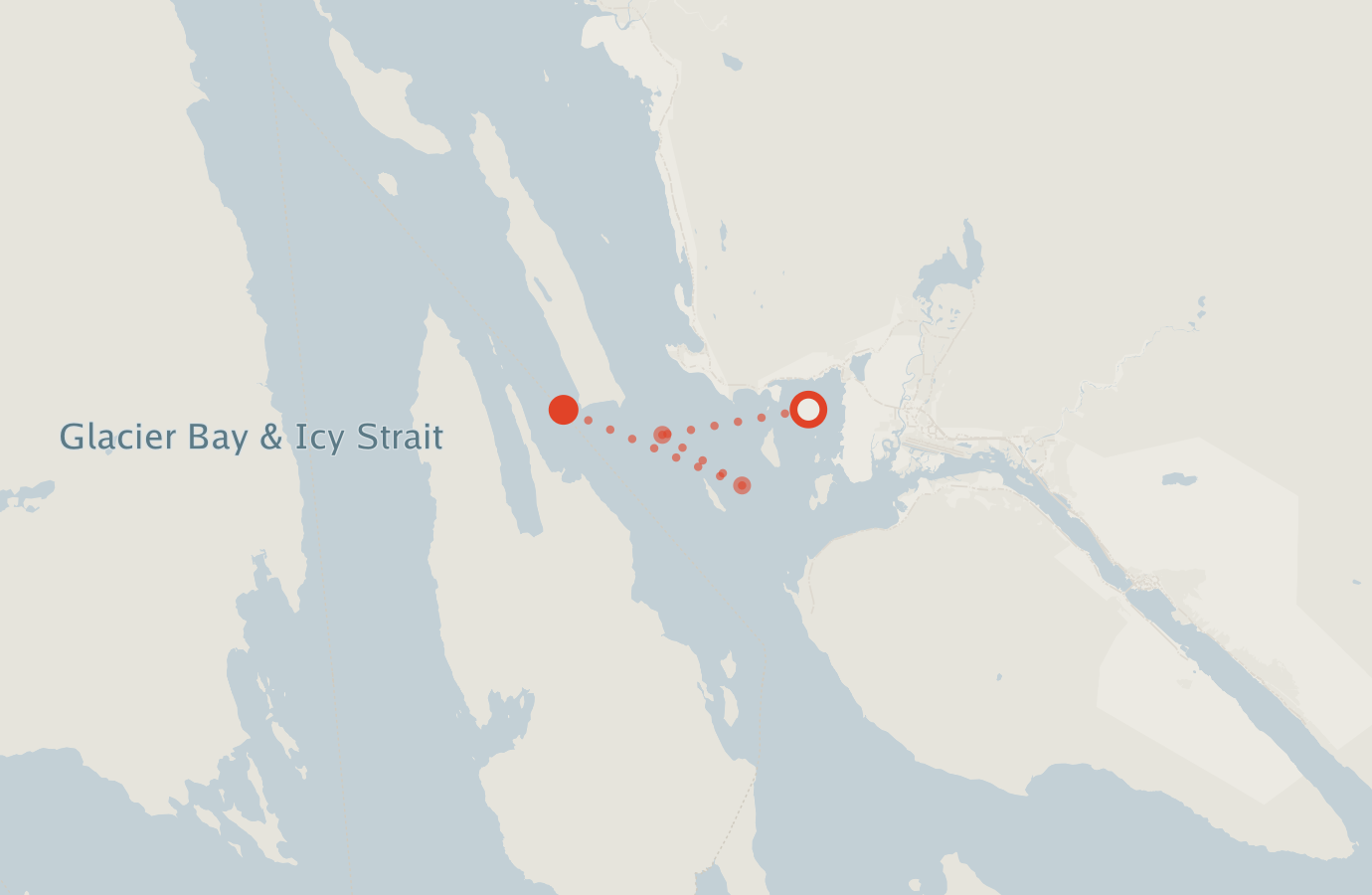 Activity map — real sighting points on an OpenStreetMap basemap