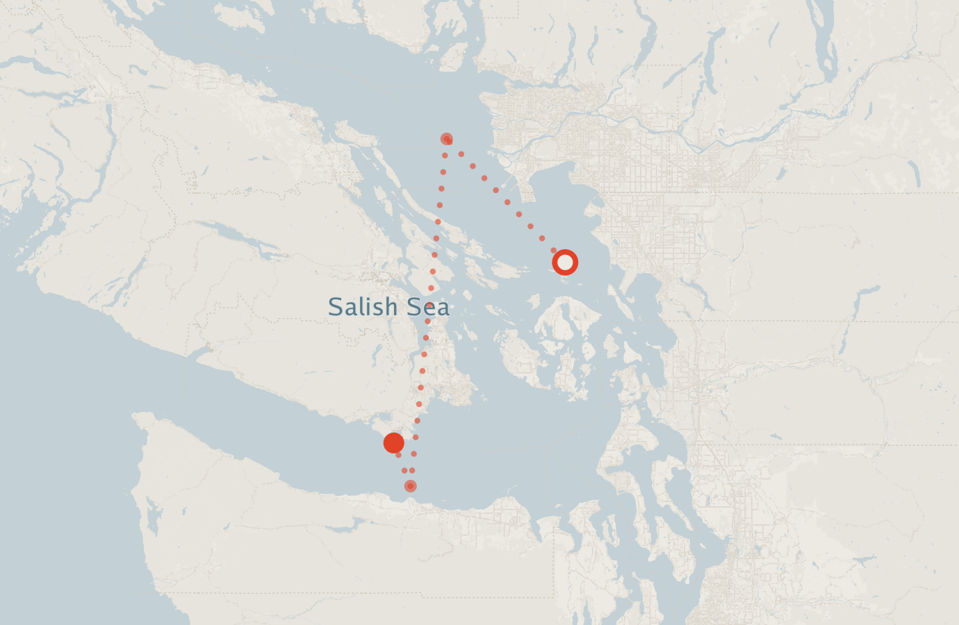 Activity map — real sighting points on an OpenStreetMap basemap