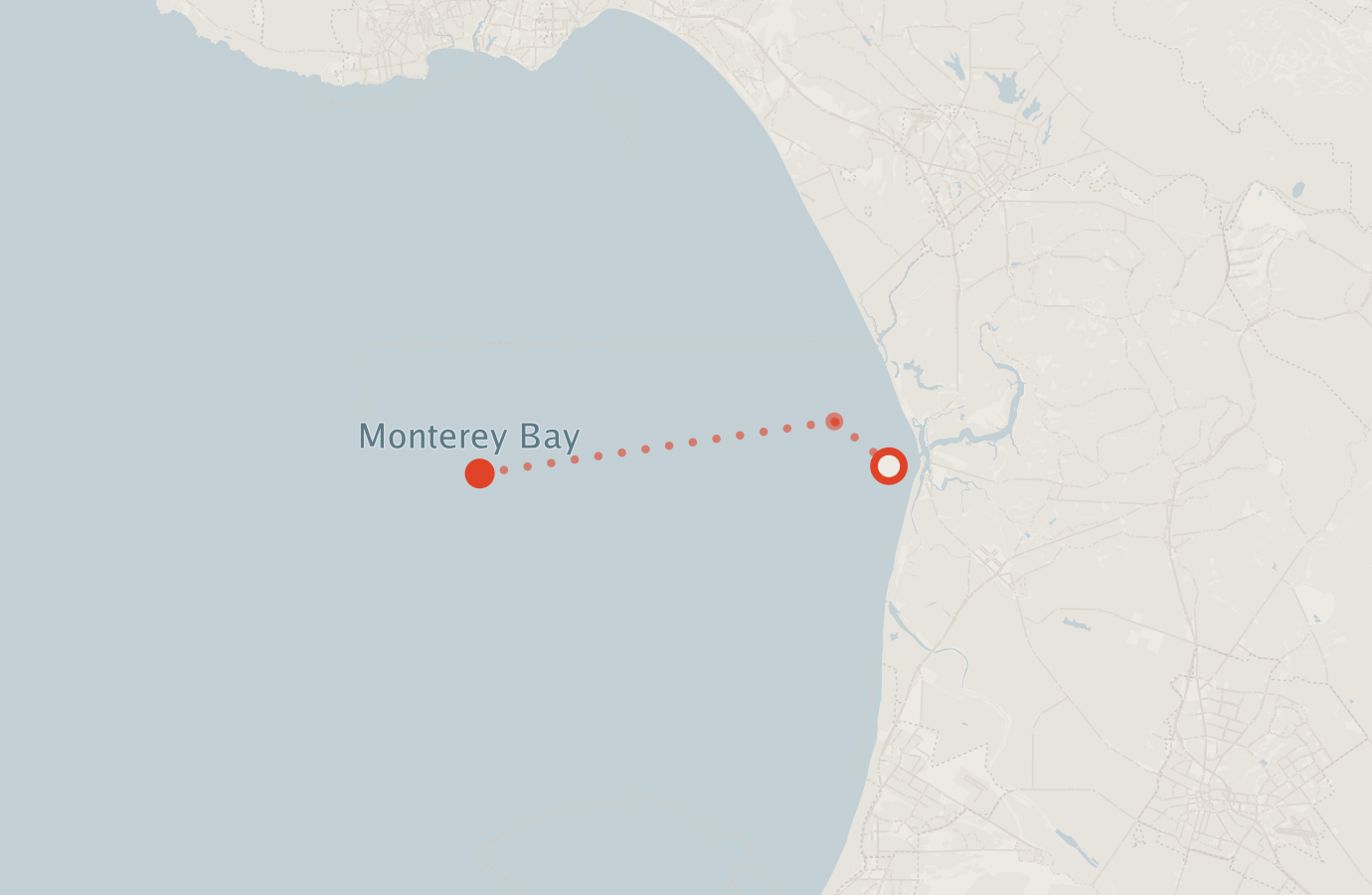 Activity map — real sighting points on an OpenStreetMap basemap
