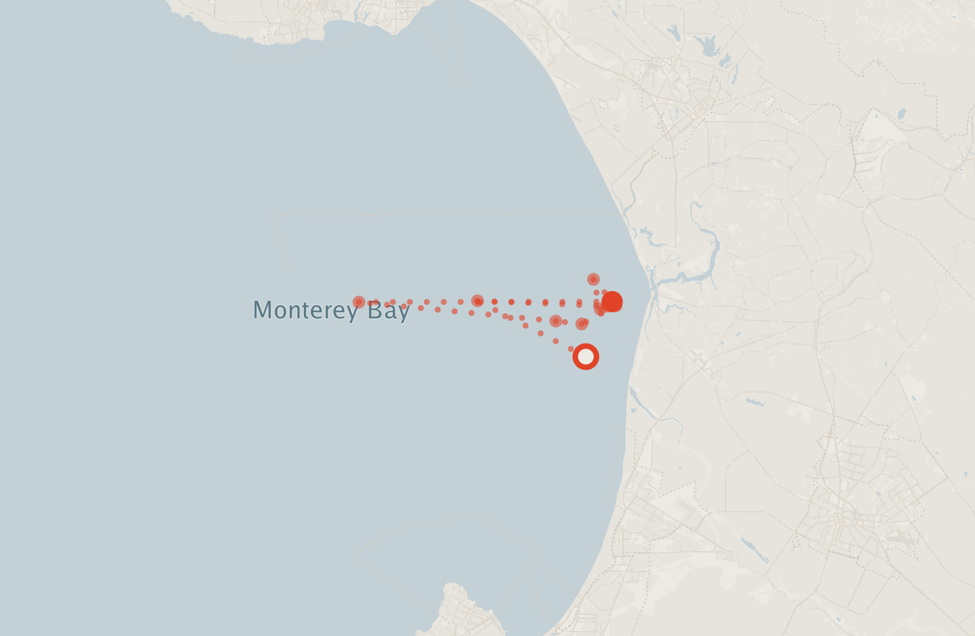 Activity map — real sighting points on an OpenStreetMap basemap