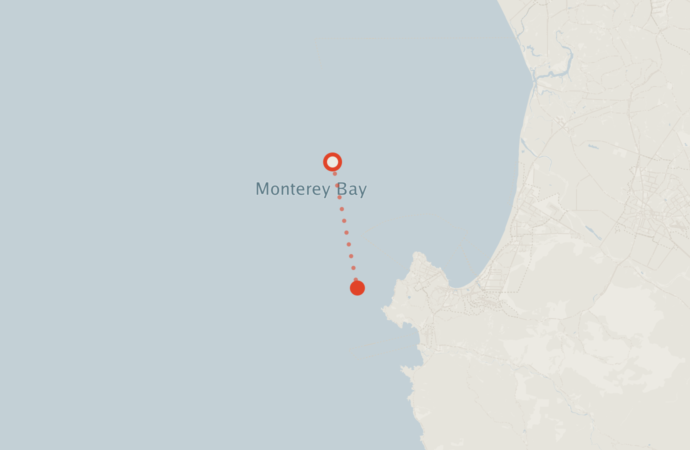Activity map — real sighting points on an OpenStreetMap basemap
