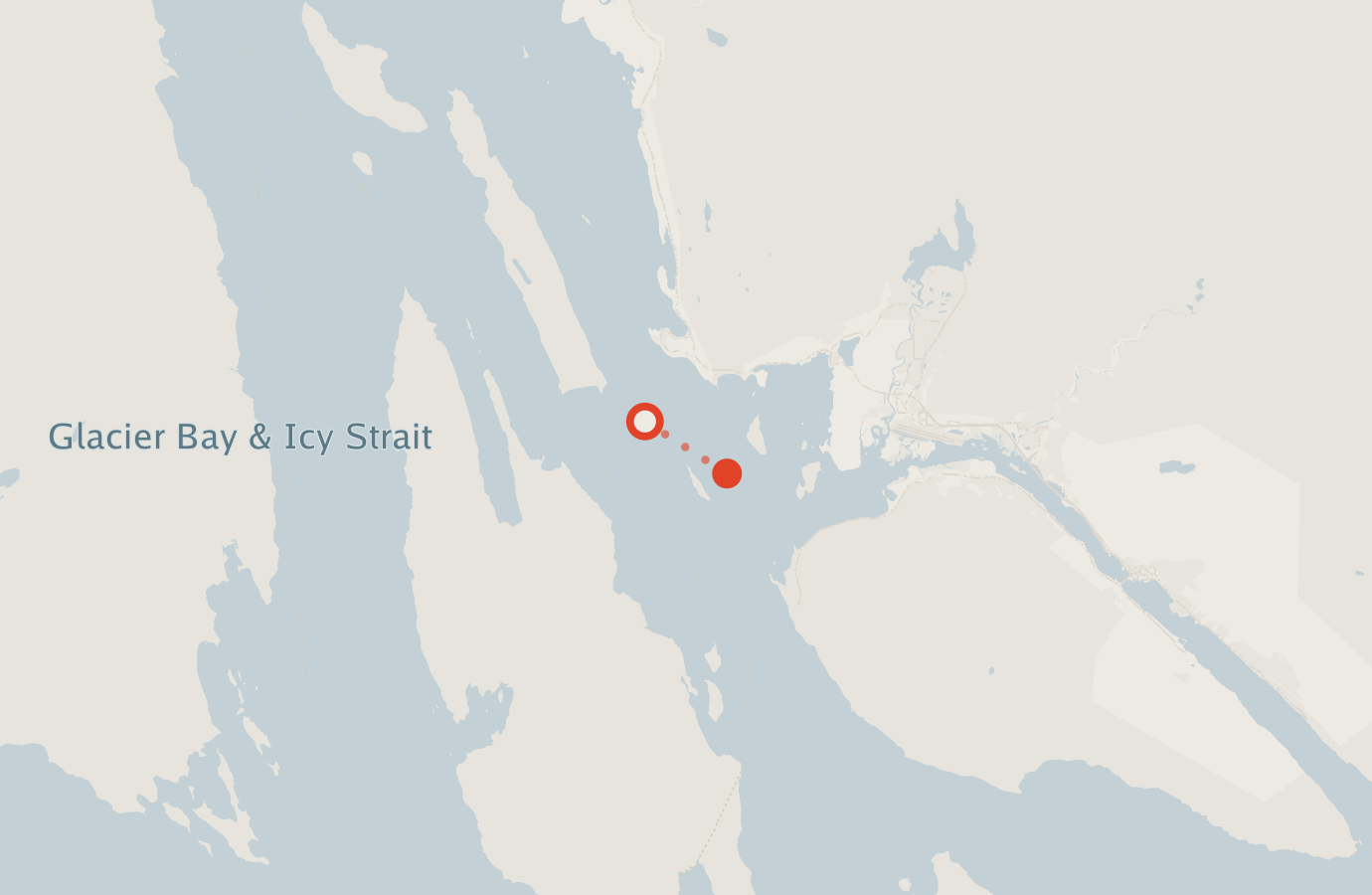 Activity map — real sighting points on an OpenStreetMap basemap