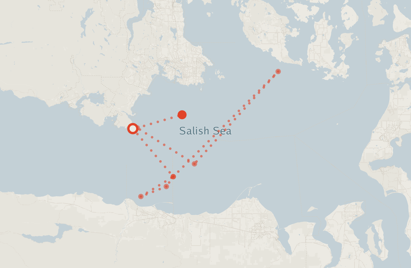 Activity map — real sighting points on an OpenStreetMap basemap
