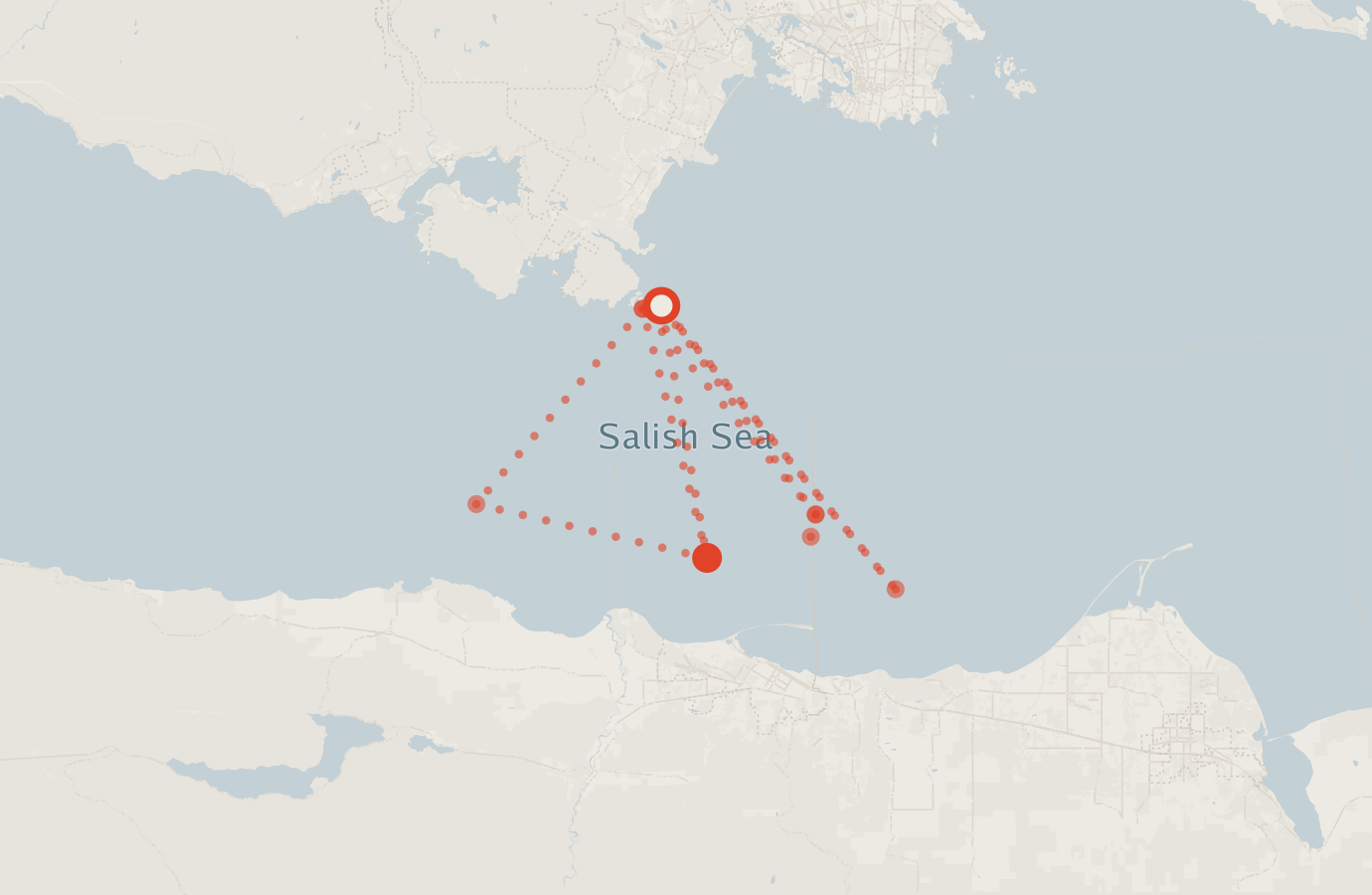 Activity map — real sighting points on an OpenStreetMap basemap
