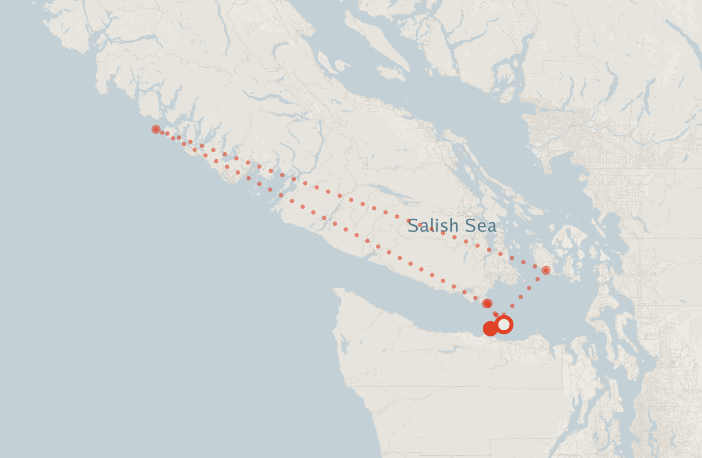 Activity map — real sighting points on an OpenStreetMap basemap